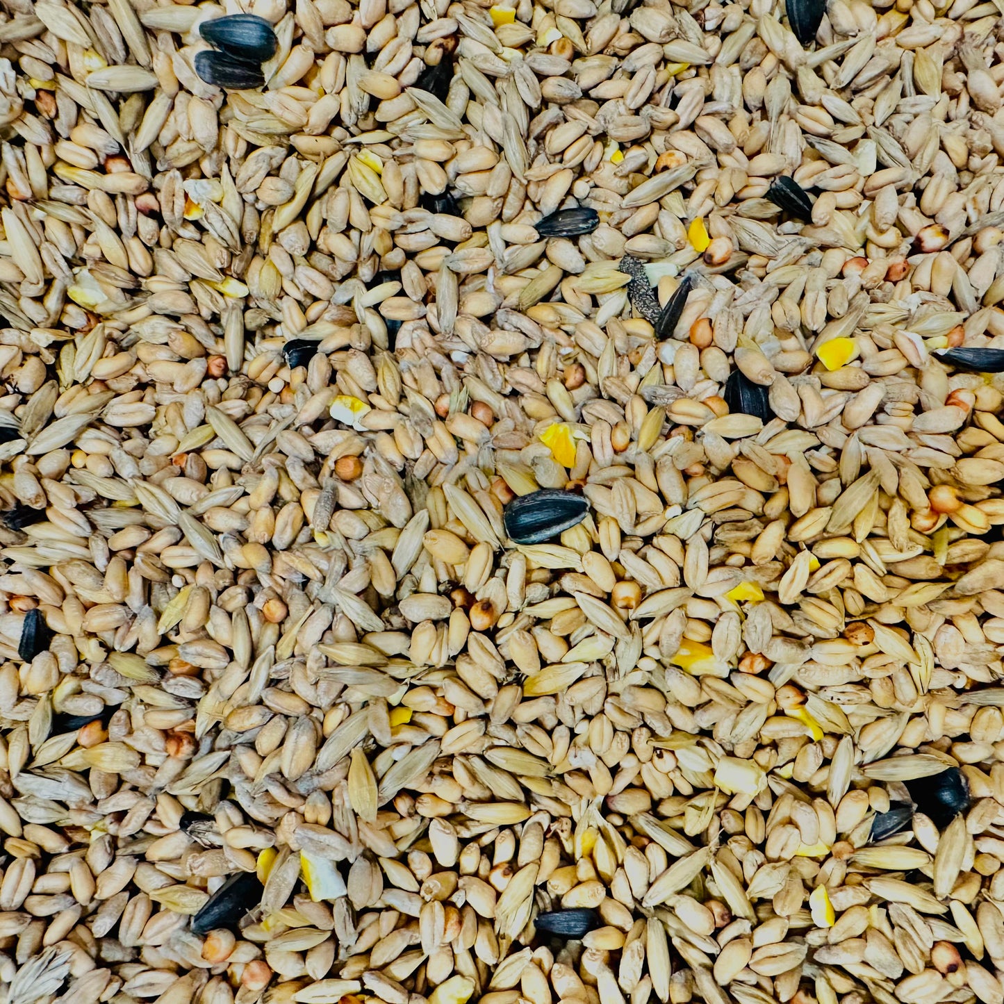 British Garden Autumn Bird Food Mix